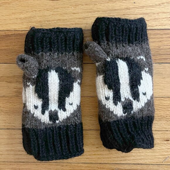 Fingerless Badger Gloves U of Wisconsin ? - Picture 2 of 2